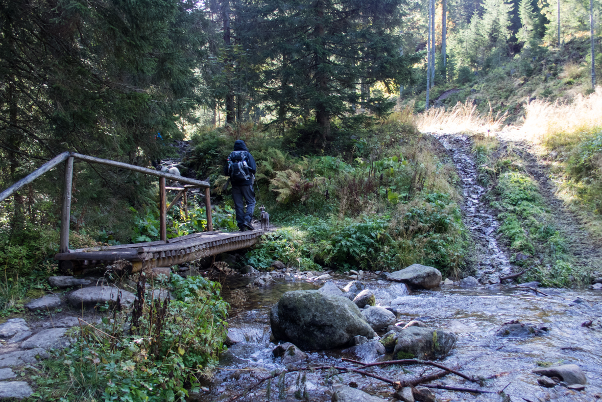 Volovec z chaty Zverovka (Západné Tatry)