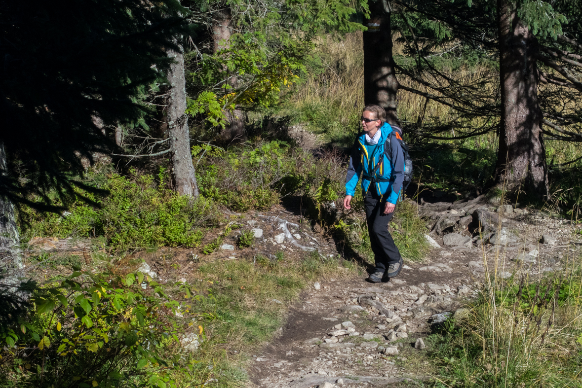 Volovec z chaty Zverovka (Západné Tatry)