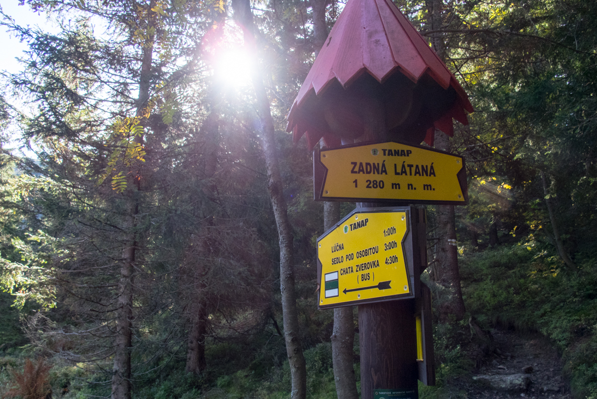 Volovec z chaty Zverovka (Západné Tatry)