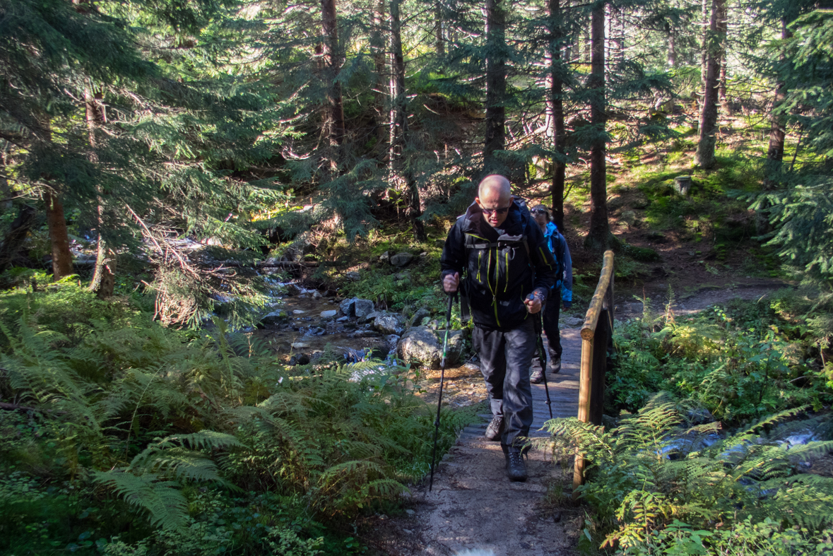 Volovec z chaty Zverovka (Západné Tatry)