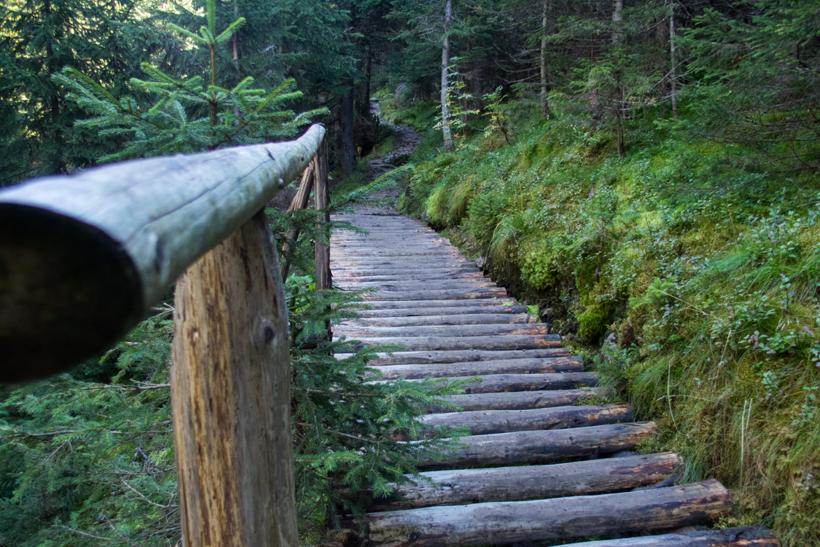 Volovec z chaty Zverovka (Západné Tatry)