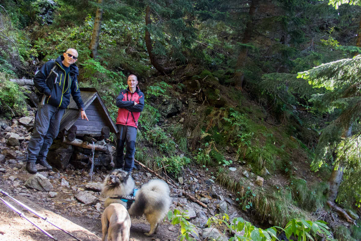 Volovec z chaty Zverovka (Západné Tatry)