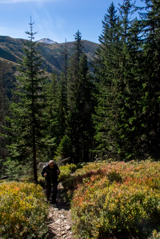 Volovec z chaty Zverovka (Západné Tatry)