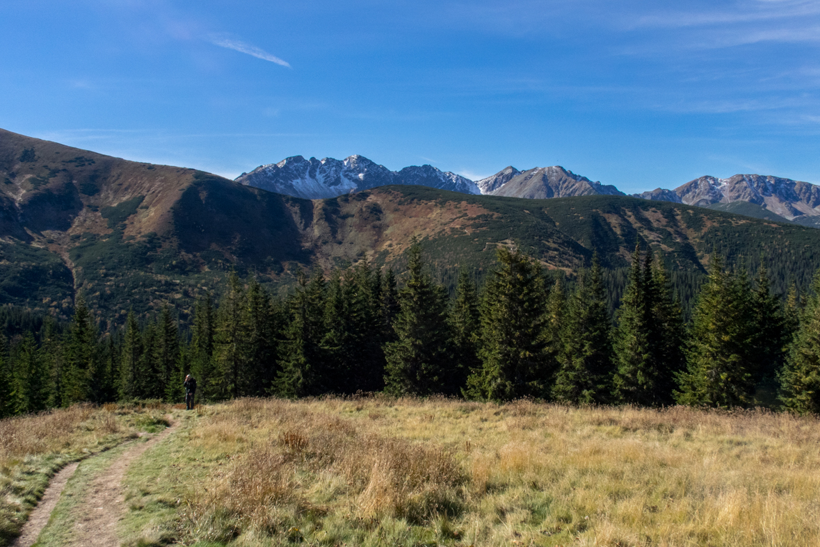 Volovec z chaty Zverovka (Západné Tatry)