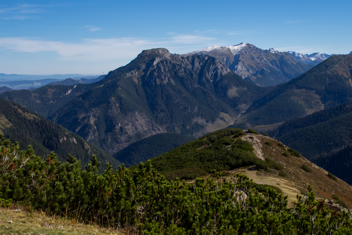 Volovec z chaty Zverovka (Západné Tatry)