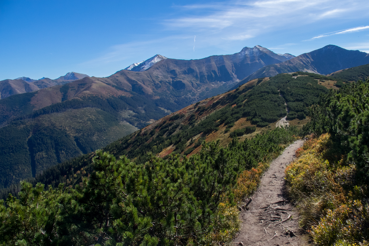 Volovec z chaty Zverovka (Západné Tatry)