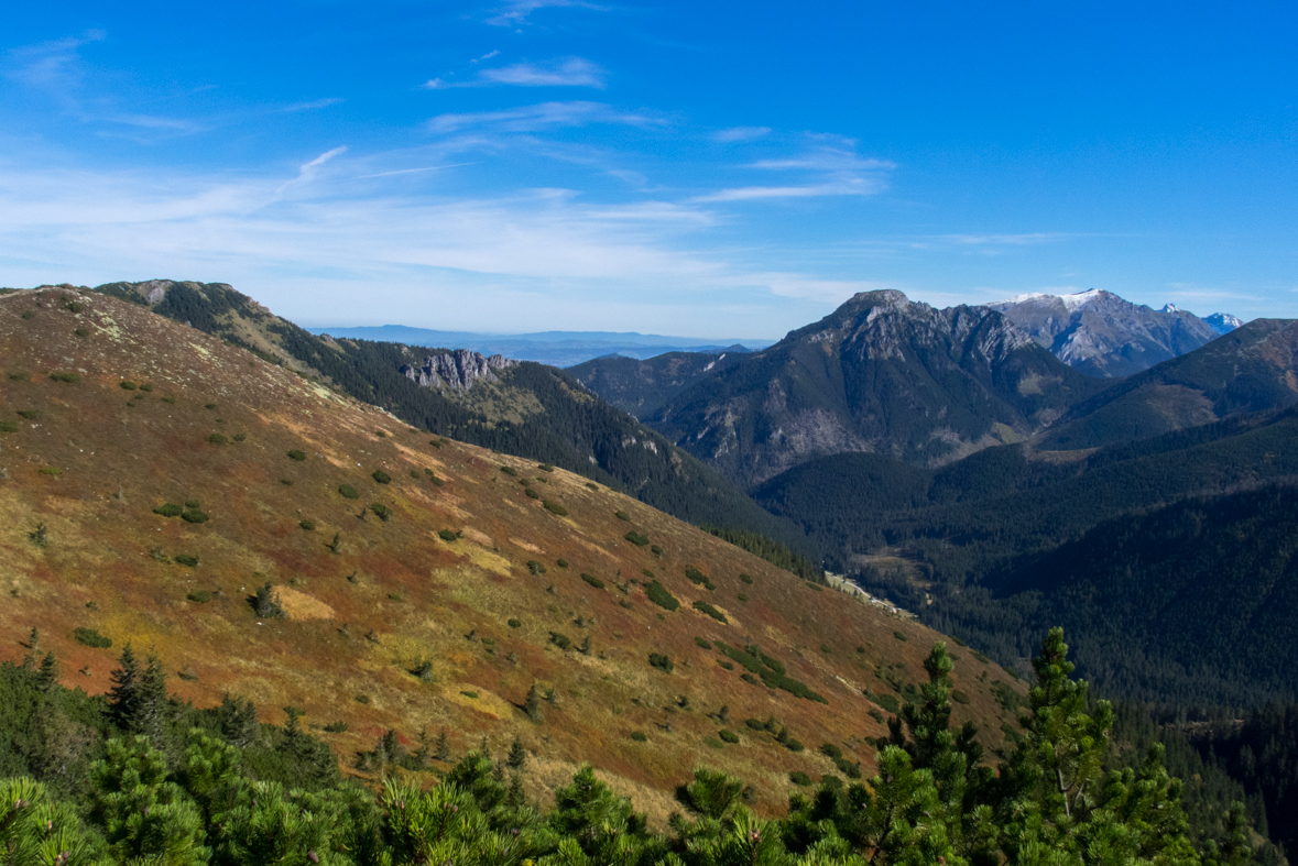 Volovec z chaty Zverovka (Západné Tatry)