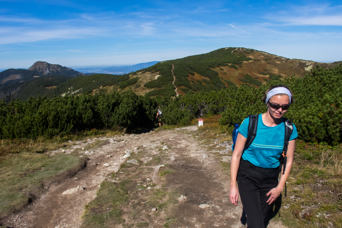 Volovec z chaty Zverovka (Západné Tatry)