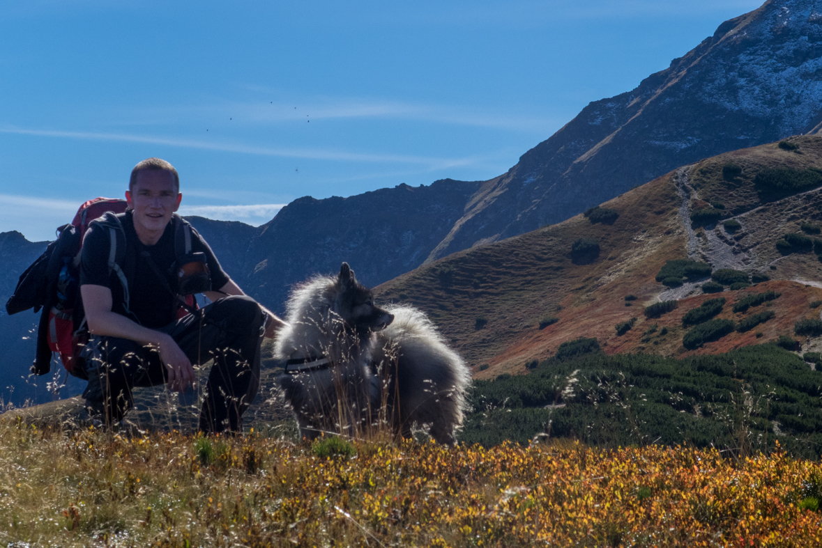 Volovec z chaty Zverovka (Západné Tatry)