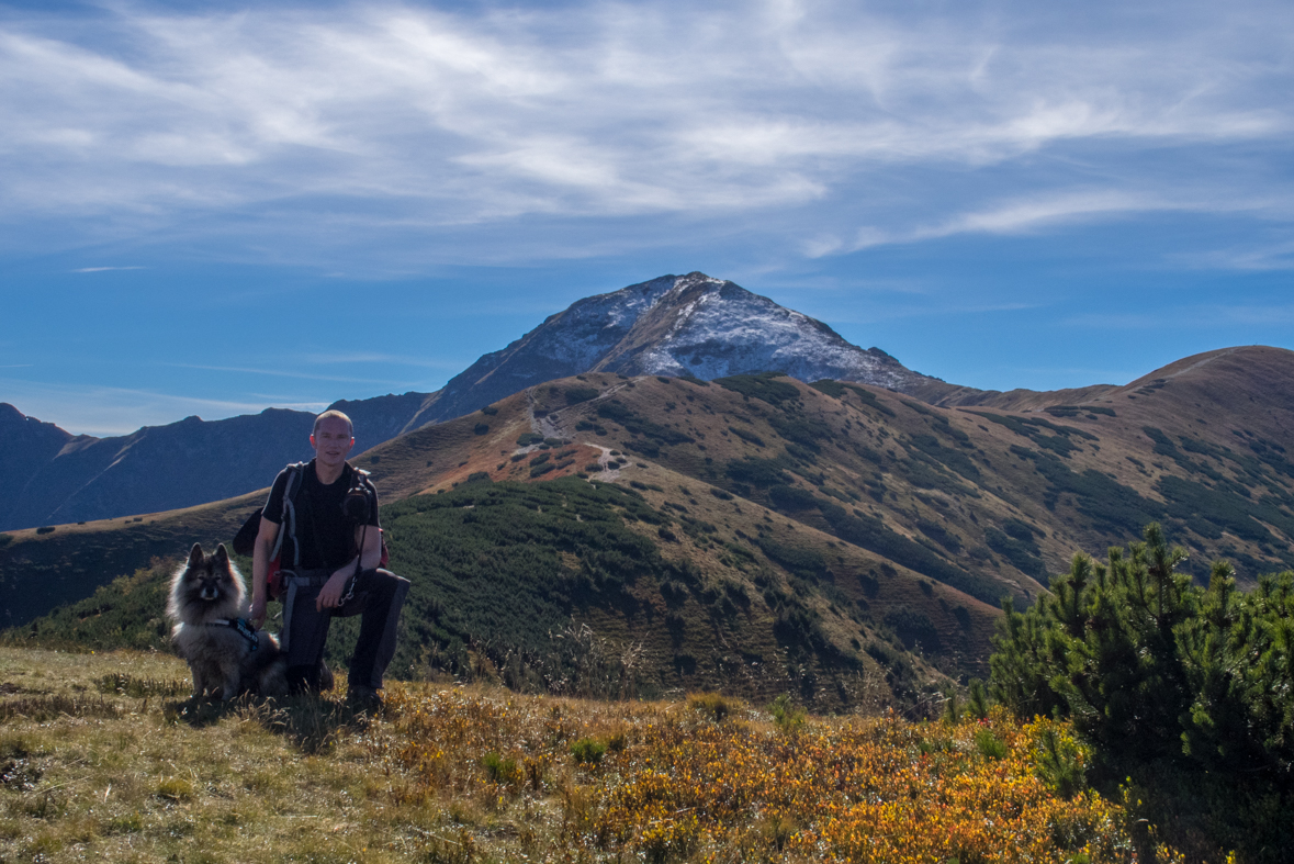 Volovec z chaty Zverovka (Západné Tatry)