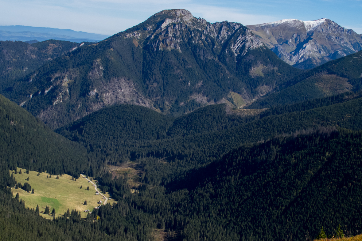 Volovec z chaty Zverovka (Západné Tatry)