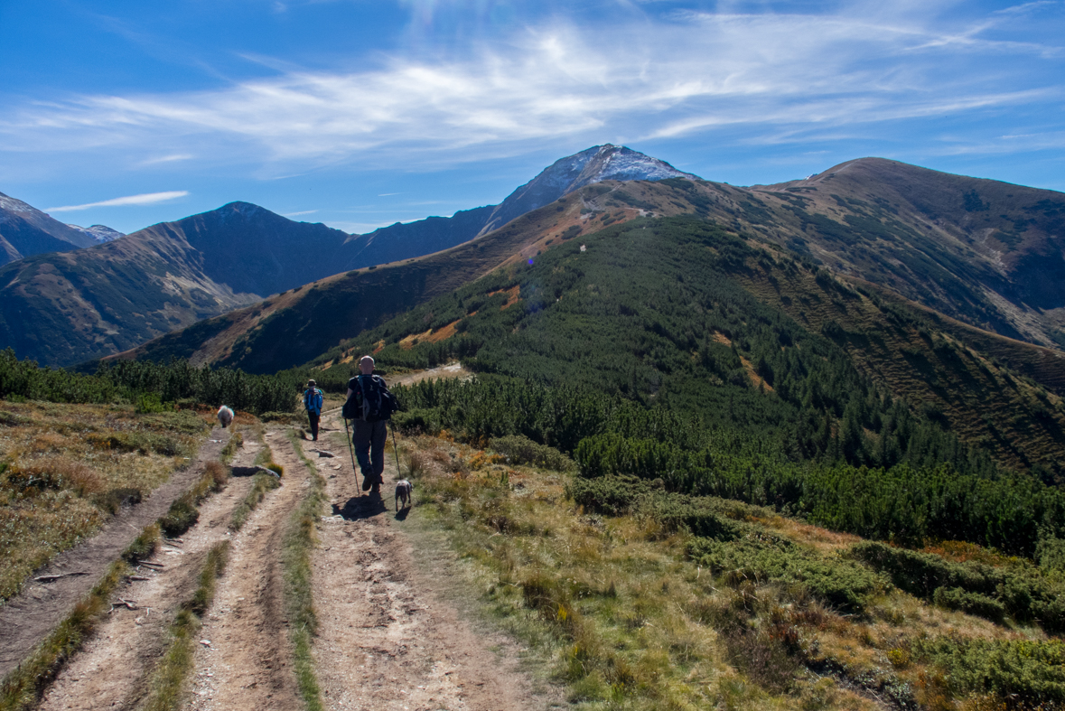 Volovec z chaty Zverovka (Západné Tatry)