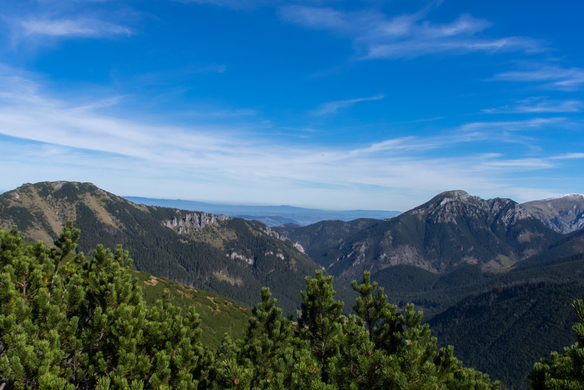 Volovec z chaty Zverovka (Západné Tatry)