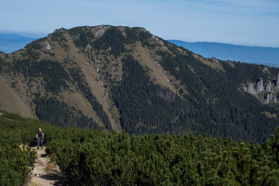 Volovec z chaty Zverovka (Západné Tatry)