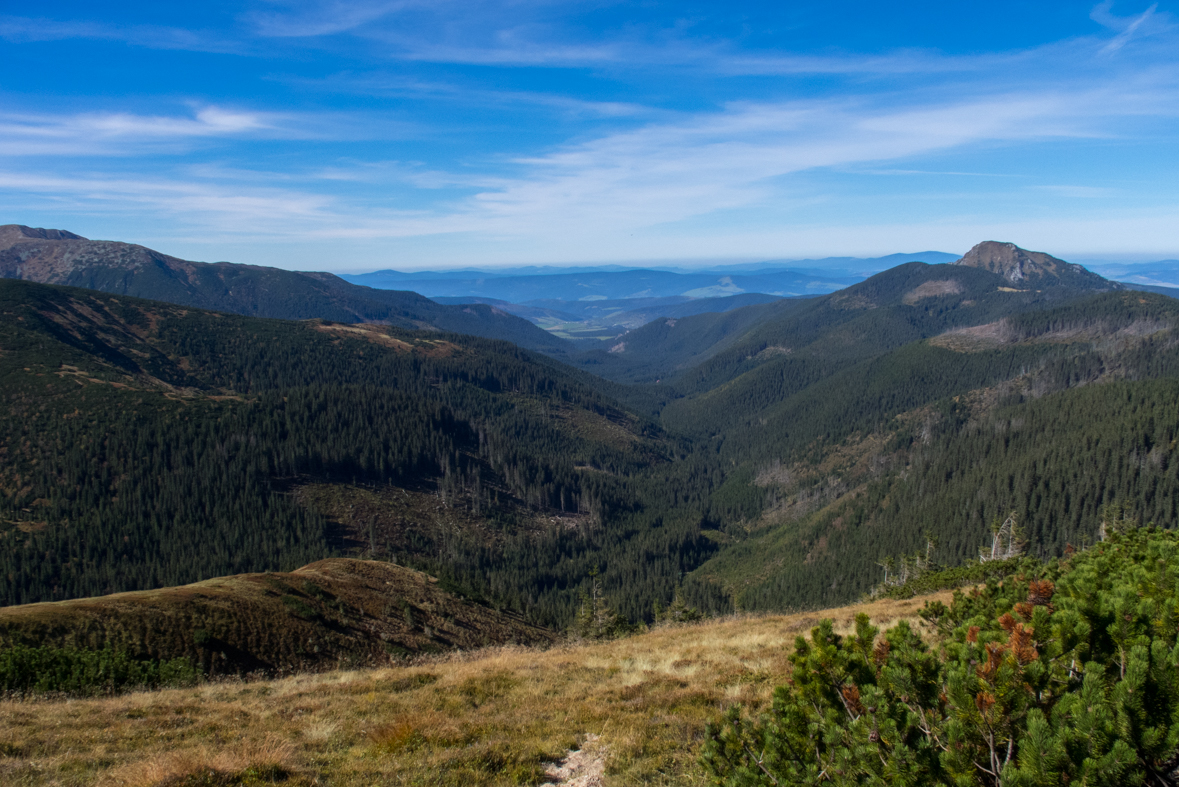 Volovec z chaty Zverovka (Západné Tatry)