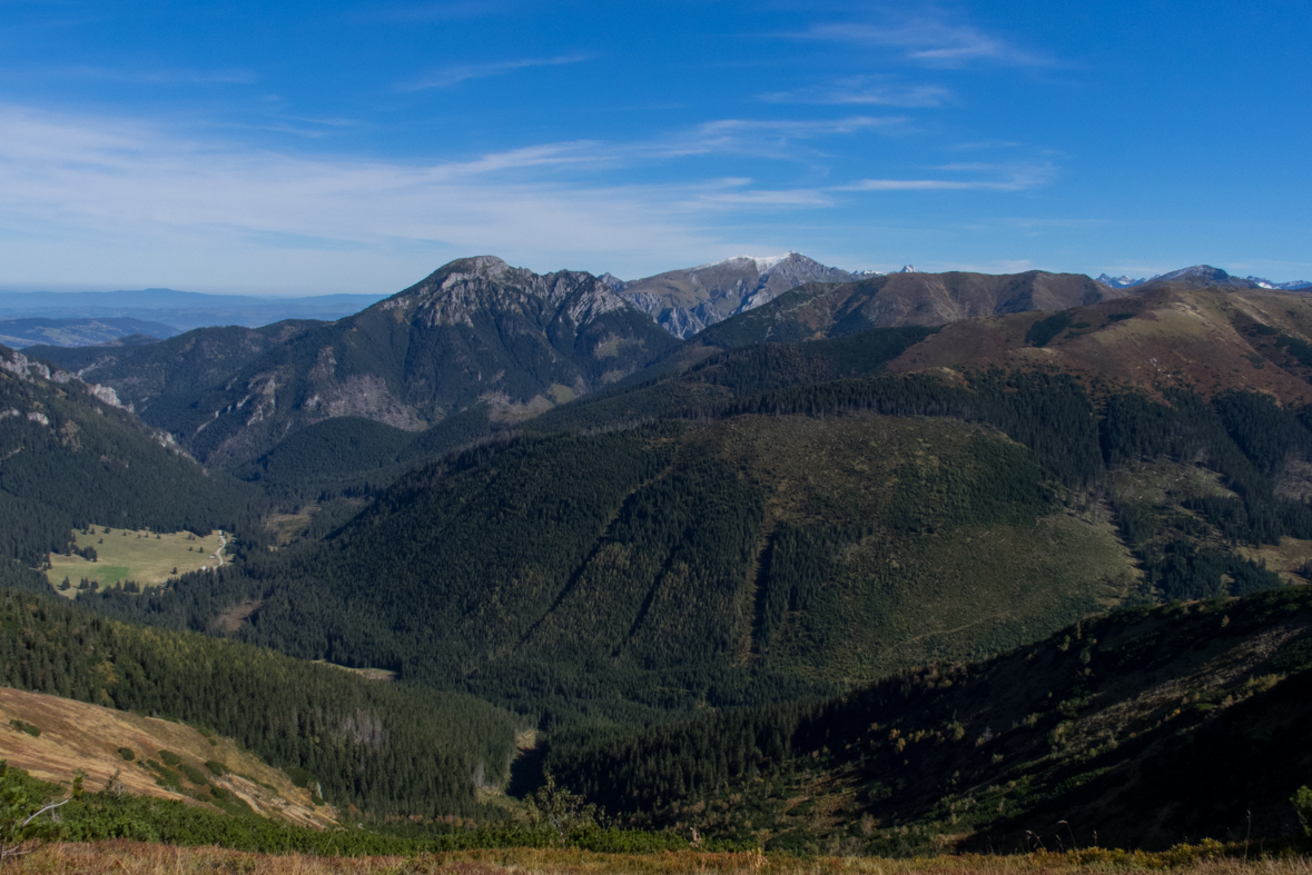 Volovec z chaty Zverovka (Západné Tatry)