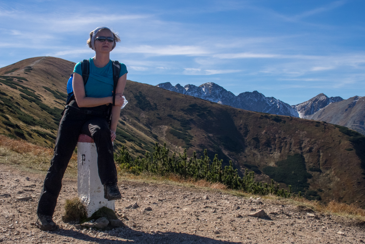 Volovec z chaty Zverovka (Západné Tatry)