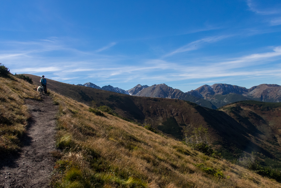 Volovec z chaty Zverovka (Západné Tatry)