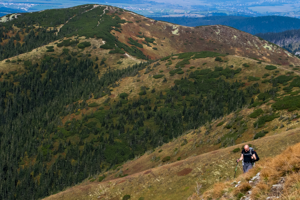 Volovec z chaty Zverovka (Západné Tatry)