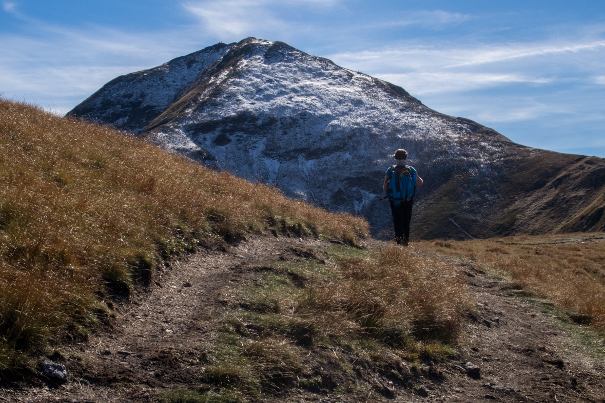 Volovec z chaty Zverovka (Západné Tatry)