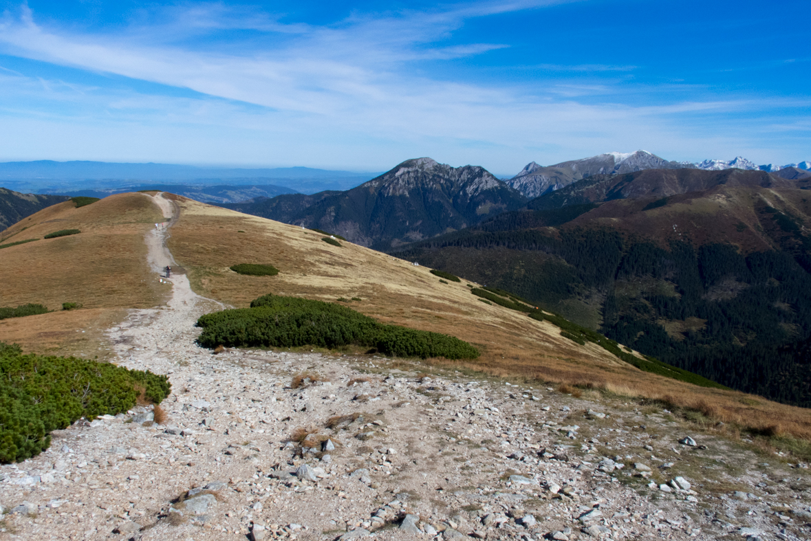 Volovec z chaty Zverovka (Západné Tatry)