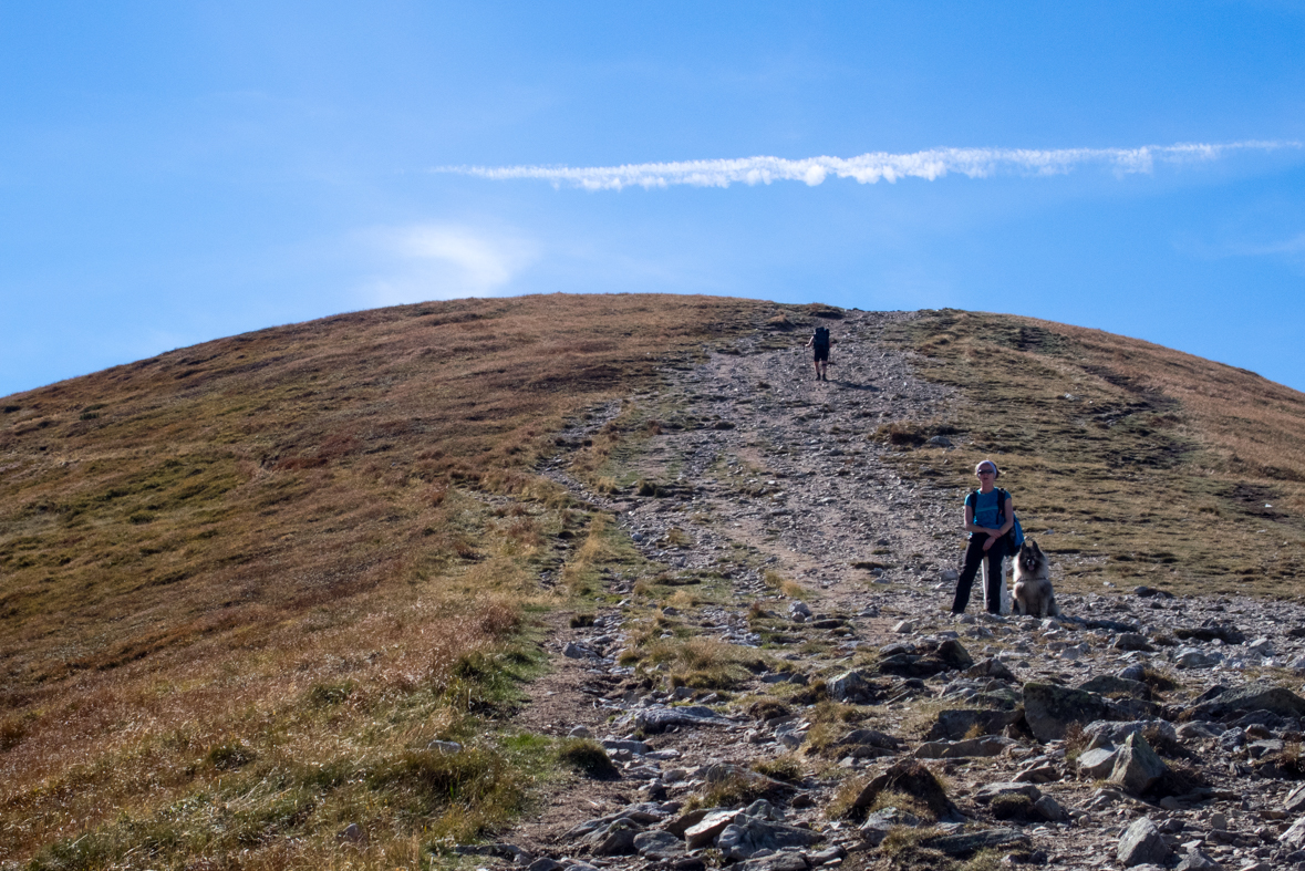 Volovec z chaty Zverovka (Západné Tatry)