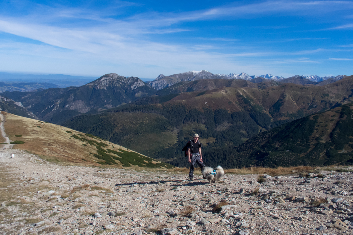 Volovec z chaty Zverovka (Západné Tatry)