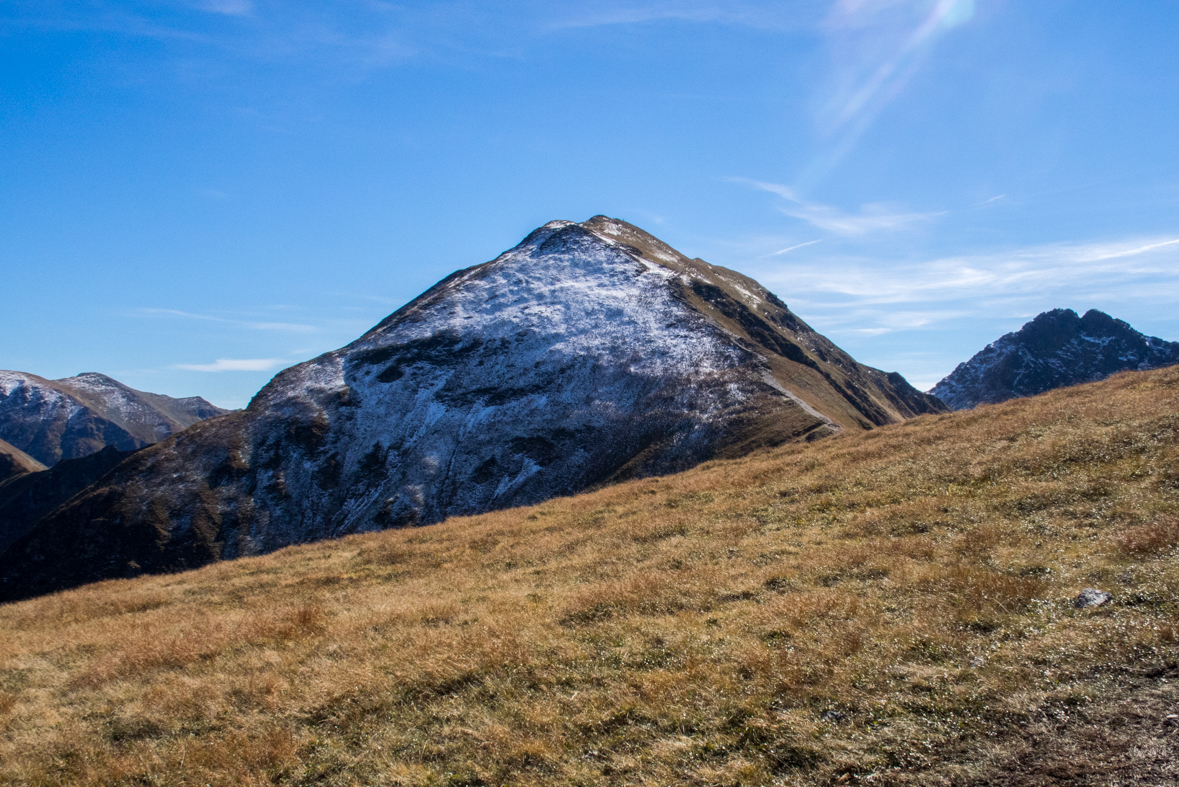 Volovec z chaty Zverovka (Západné Tatry)