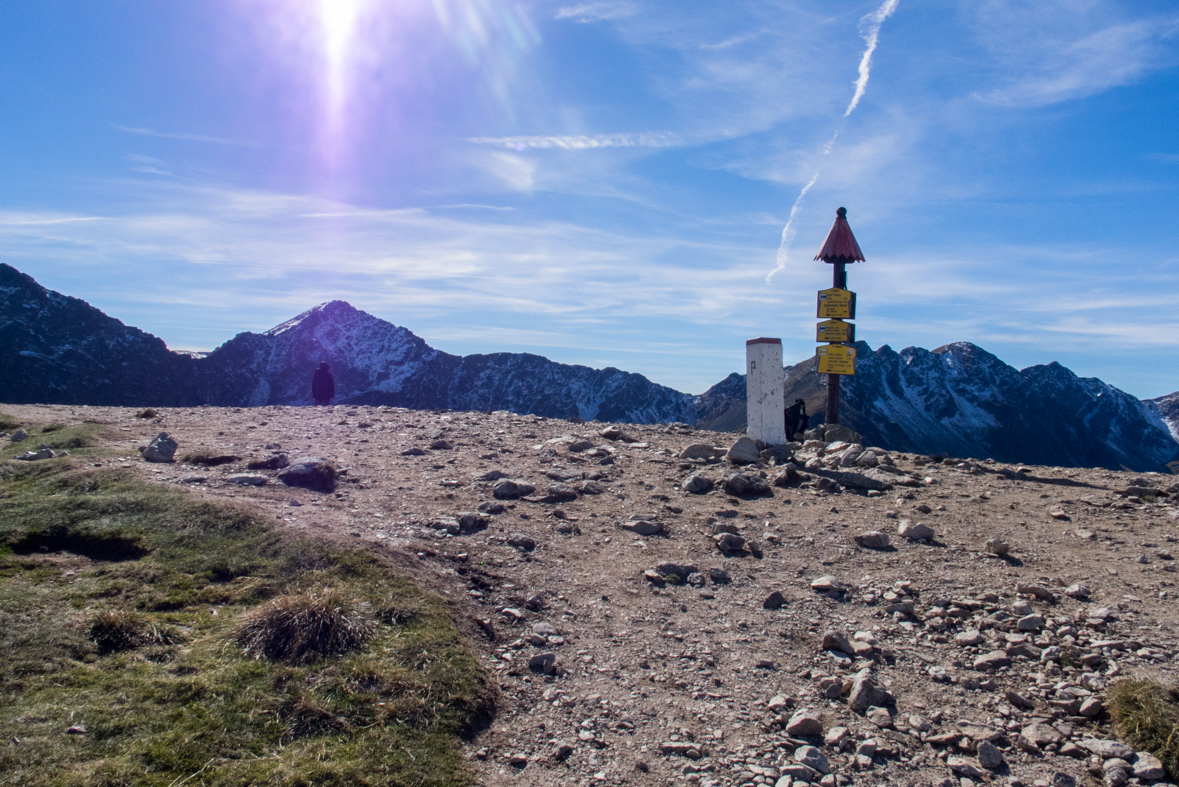 Volovec z chaty Zverovka (Západné Tatry)