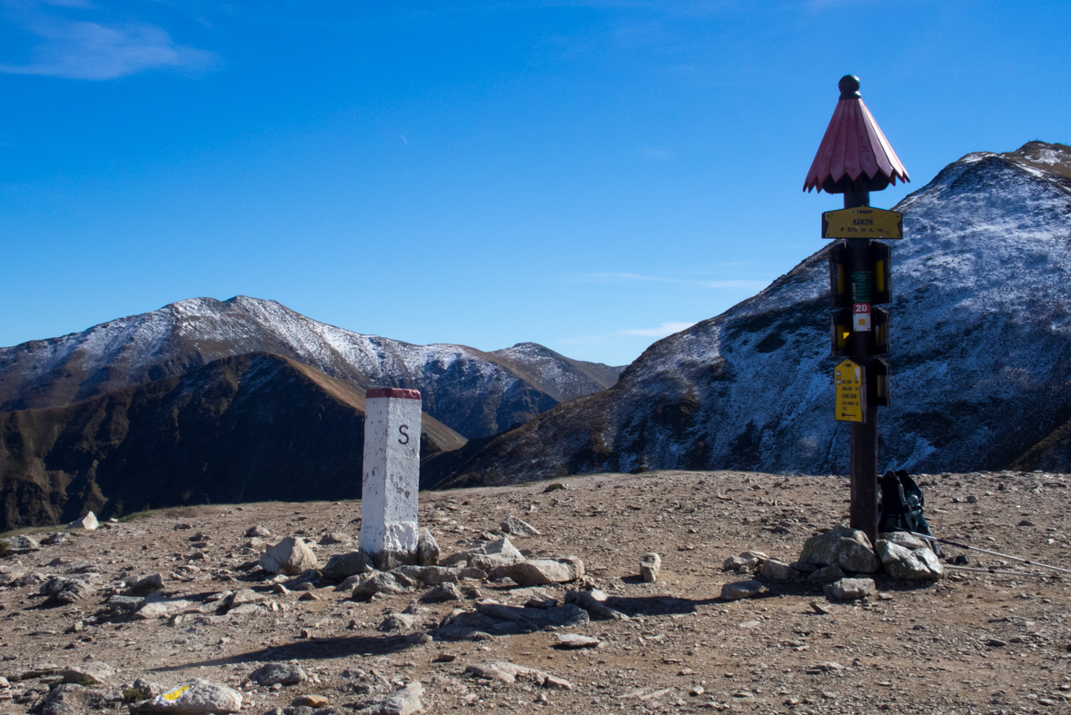 Volovec z chaty Zverovka (Západné Tatry)