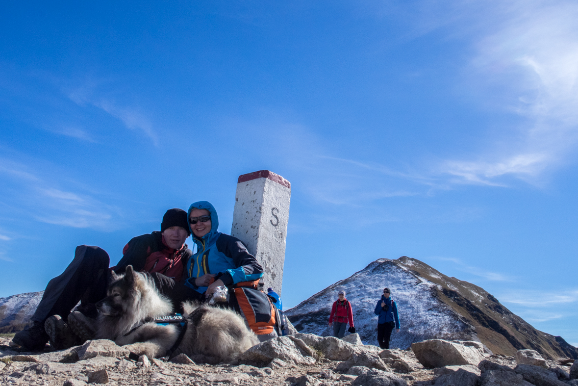 Volovec z chaty Zverovka (Západné Tatry)