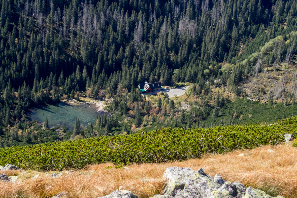 Volovec z chaty Zverovka (Západné Tatry)