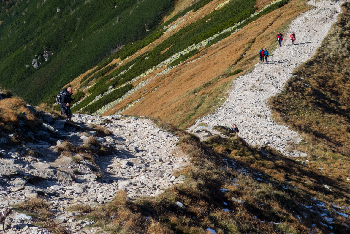 Volovec z chaty Zverovka (Západné Tatry)