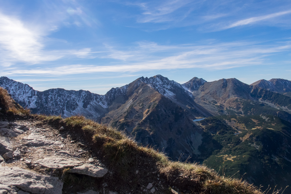 Volovec z chaty Zverovka (Západné Tatry)