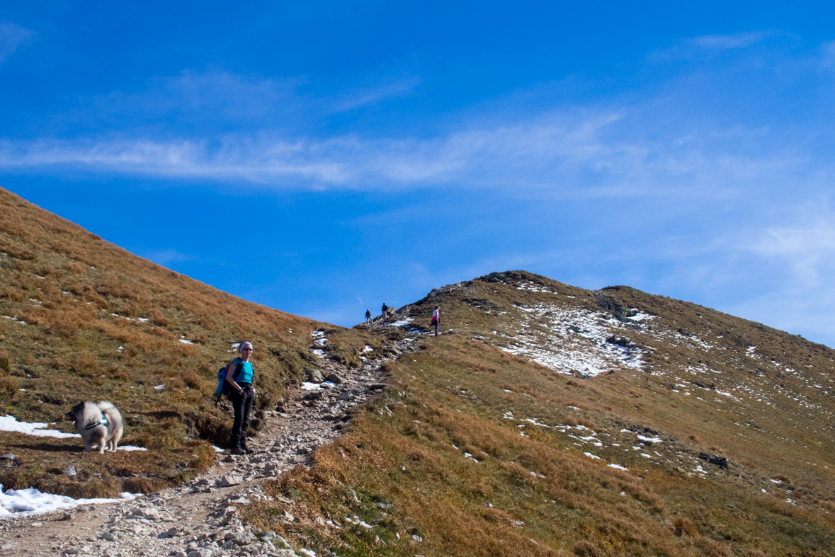 Volovec z chaty Zverovka (Západné Tatry)