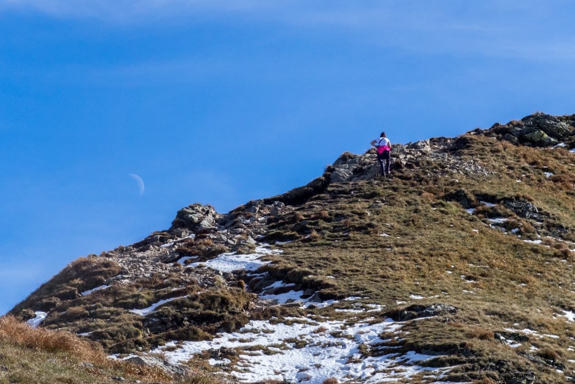 Volovec z chaty Zverovka (Západné Tatry)