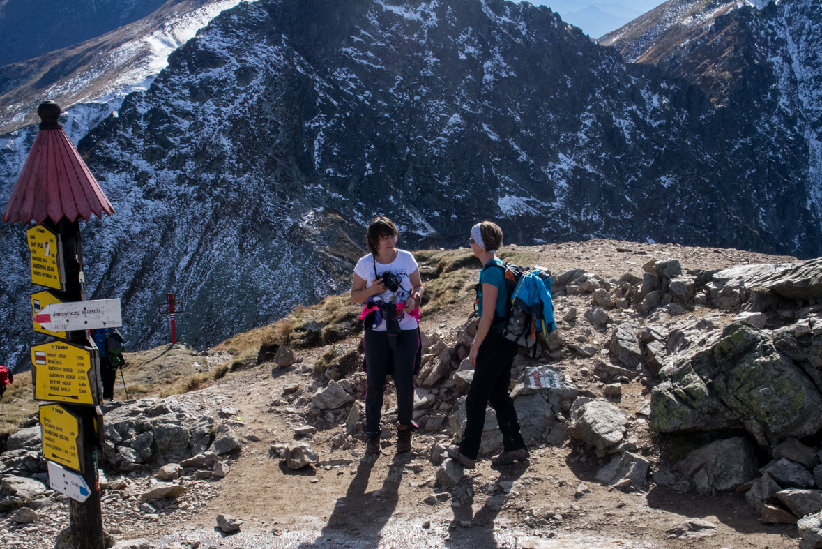 Volovec z chaty Zverovka (Západné Tatry)