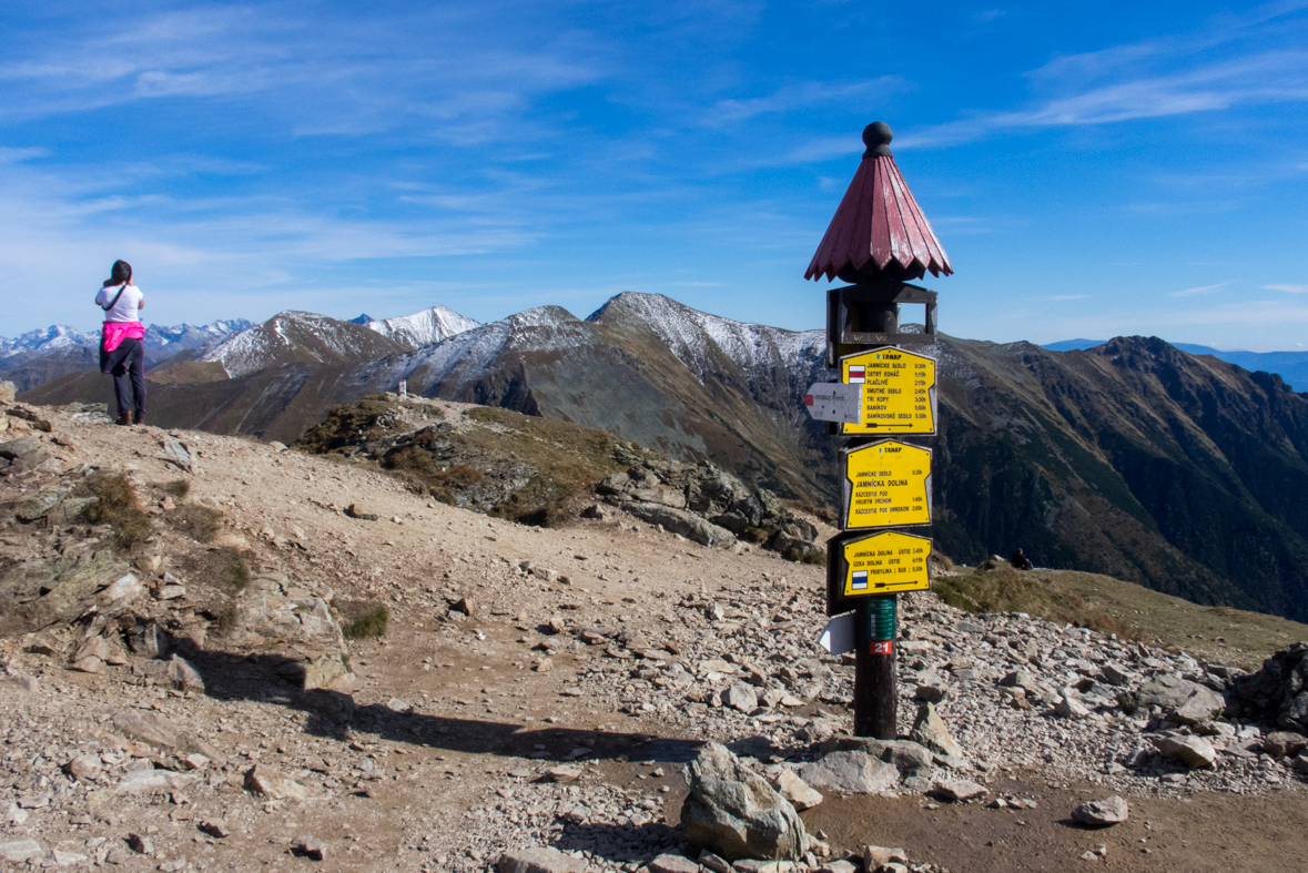 Volovec z chaty Zverovka (Západné Tatry)