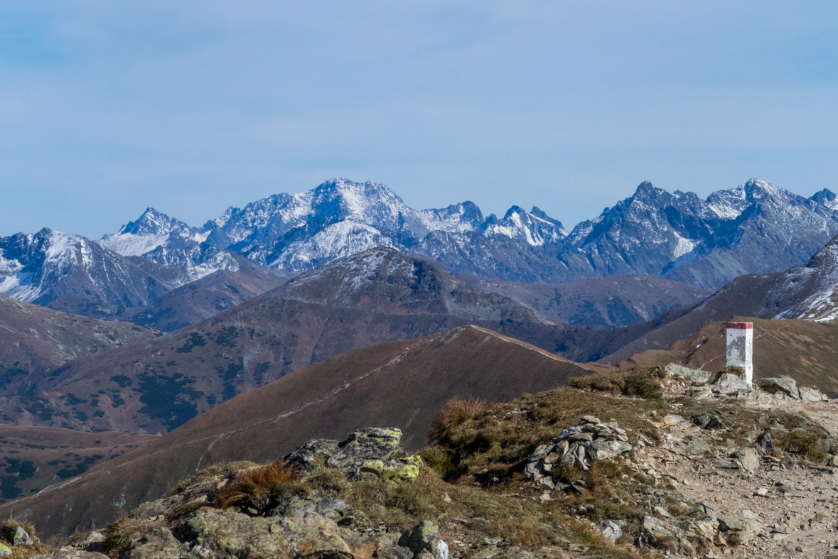 Volovec z chaty Zverovka (Západné Tatry)