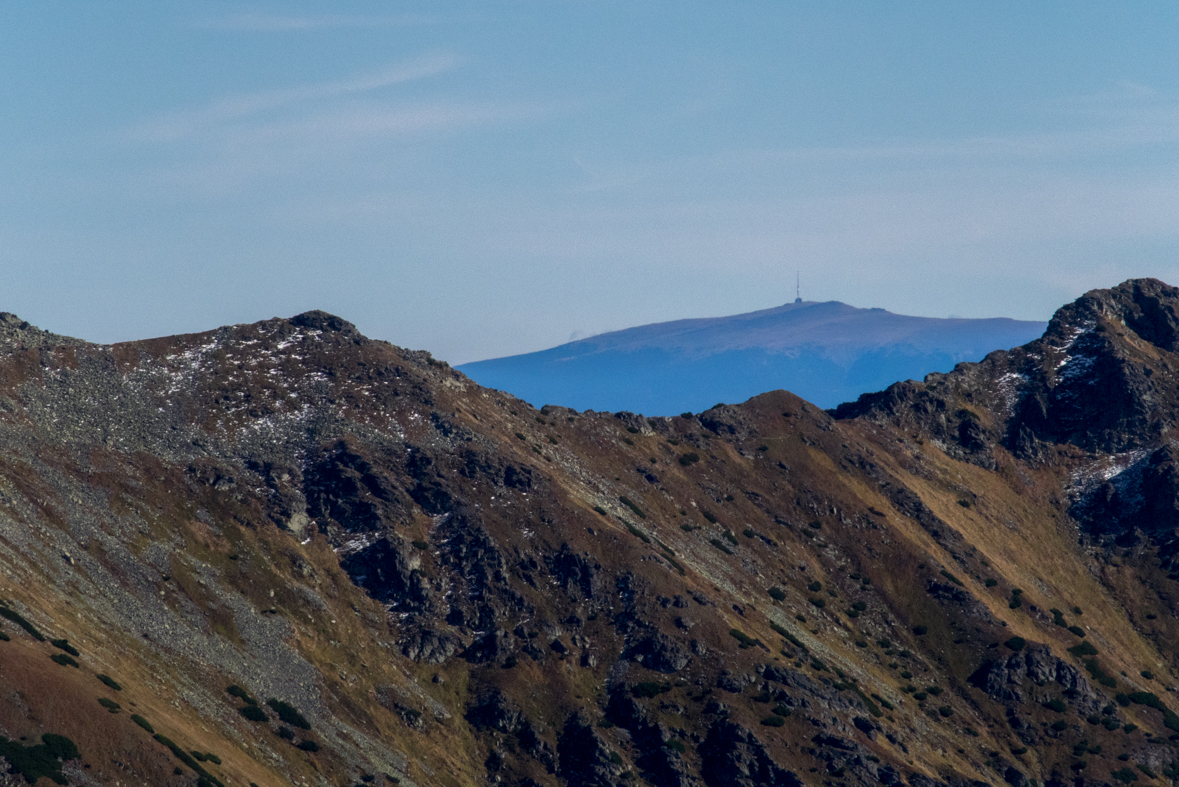 Volovec z chaty Zverovka (Západné Tatry)