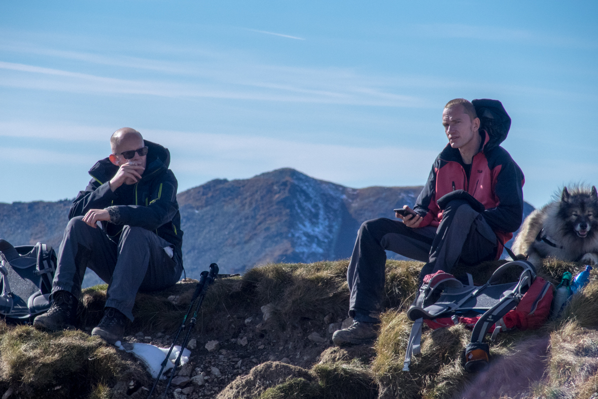 Volovec z chaty Zverovka (Západné Tatry)