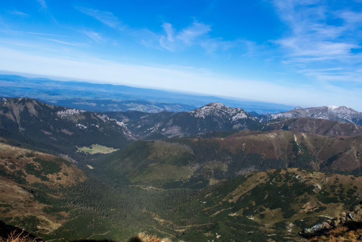 Volovec z chaty Zverovka (Západné Tatry)