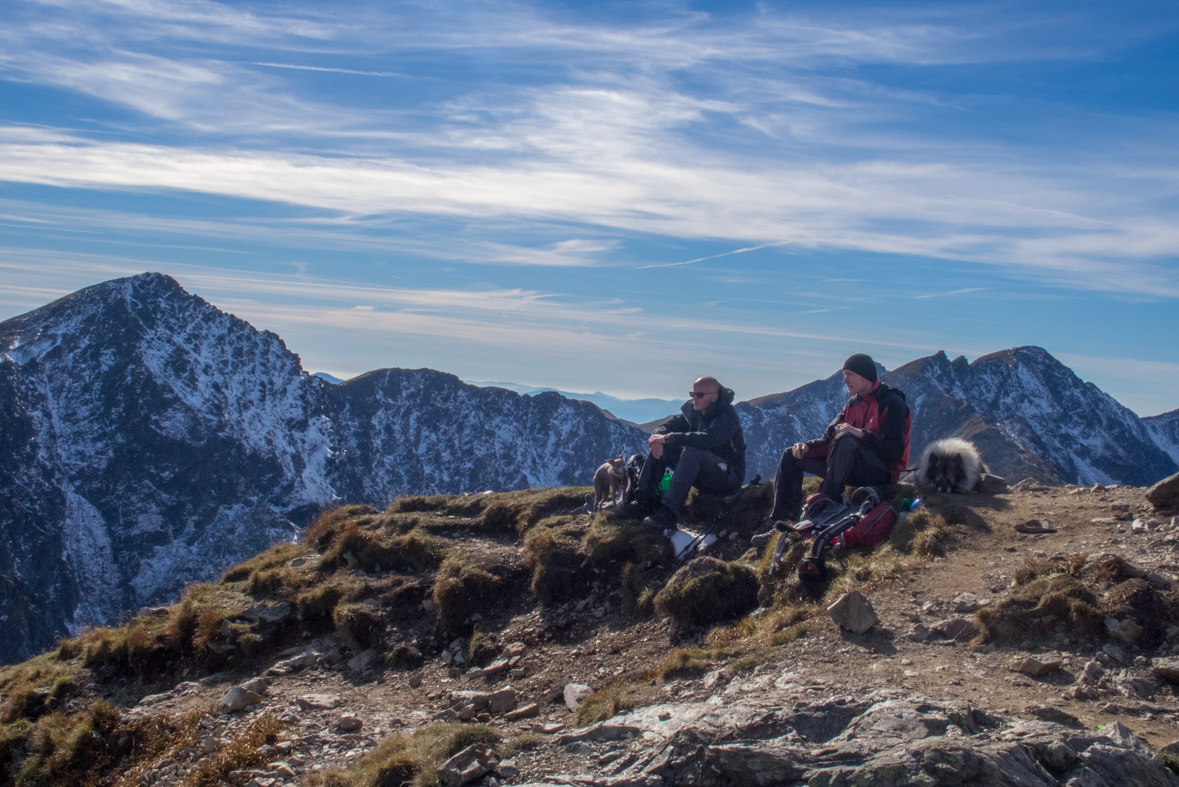 Volovec z chaty Zverovka (Západné Tatry)