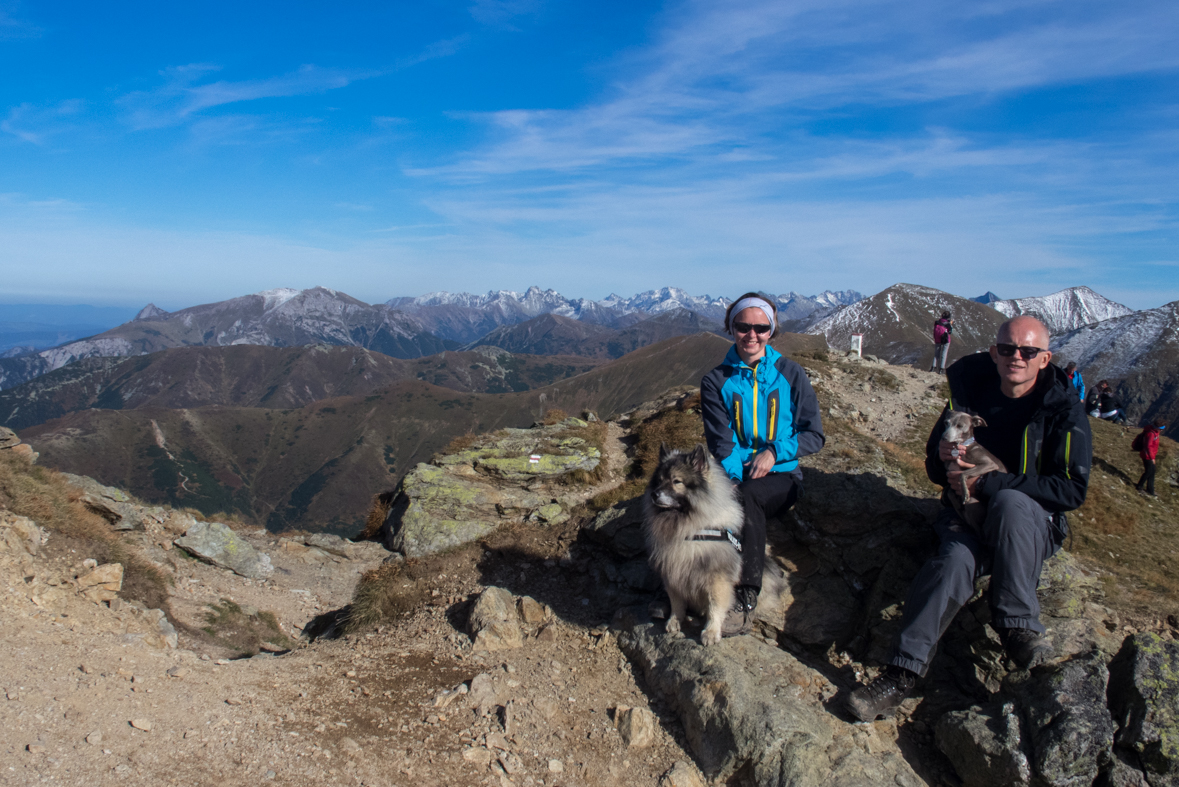 Volovec z chaty Zverovka (Západné Tatry)