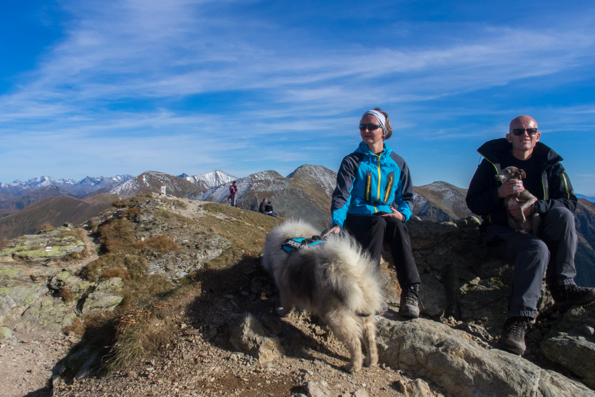 Volovec z chaty Zverovka (Západné Tatry)