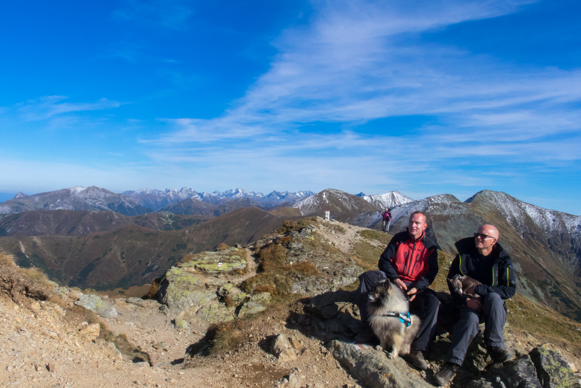 Volovec z chaty Zverovka (Západné Tatry)