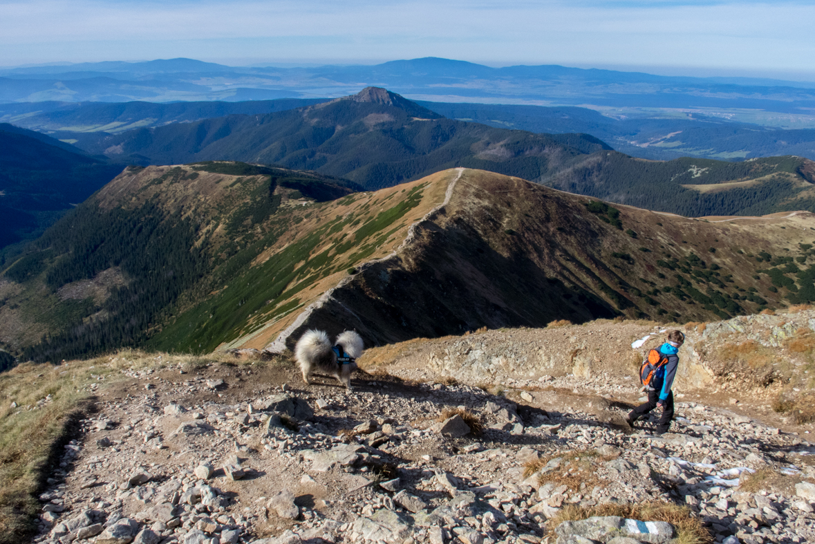 Volovec z chaty Zverovka (Západné Tatry)