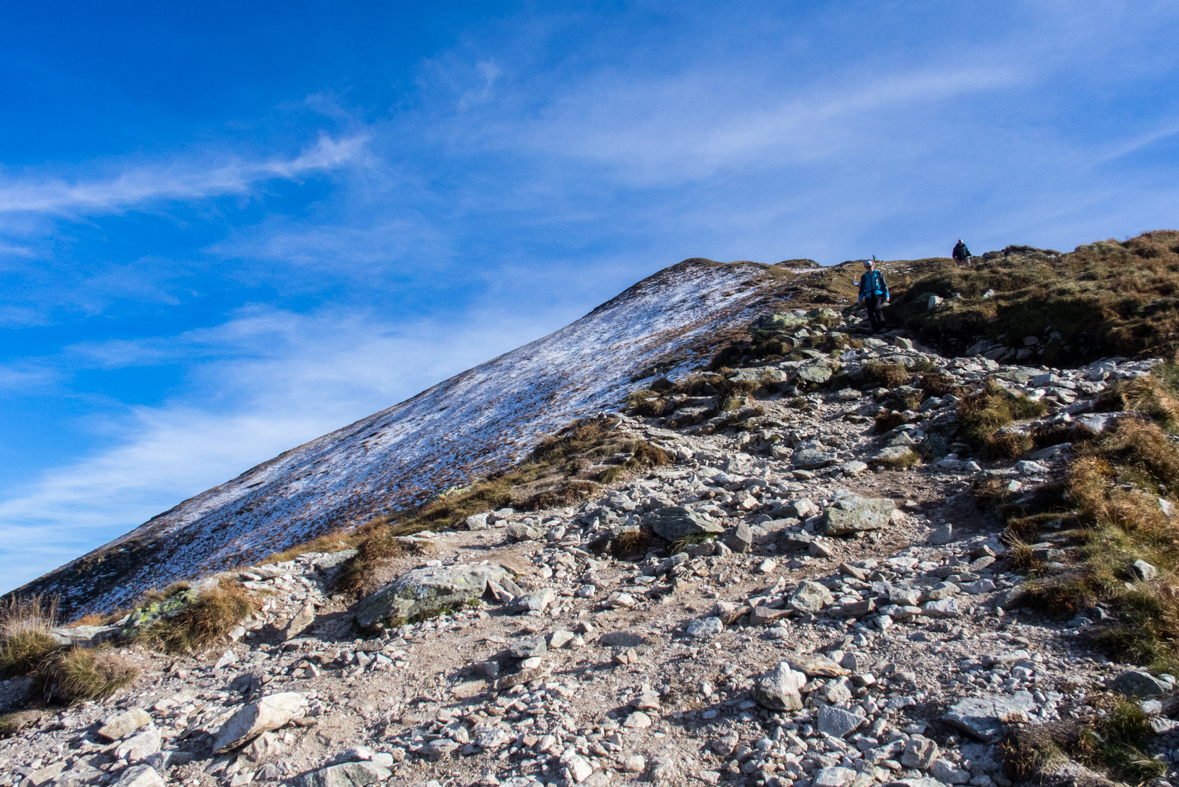 Volovec z chaty Zverovka (Západné Tatry)