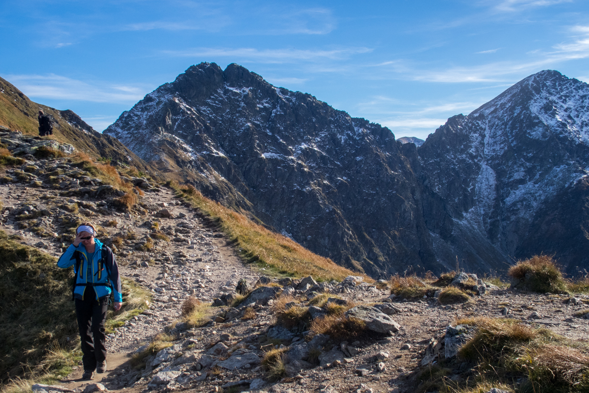 Volovec z chaty Zverovka (Západné Tatry)