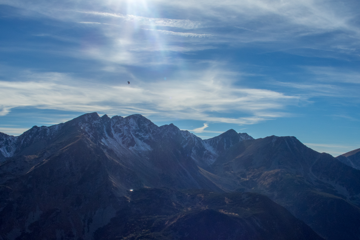 Volovec z chaty Zverovka (Západné Tatry)